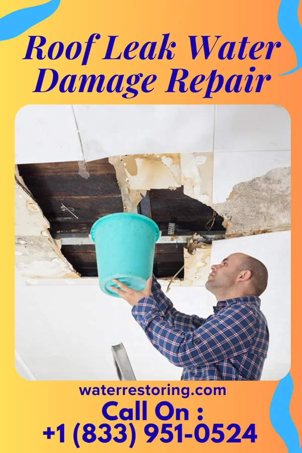 Roof Leak Water Damage Repair in Laurens, SC